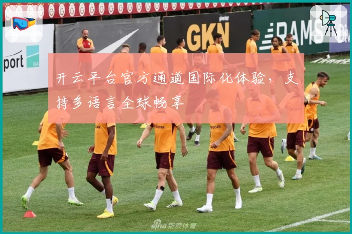 开云平台官方通道国际化体验,支持多语言全球畅享