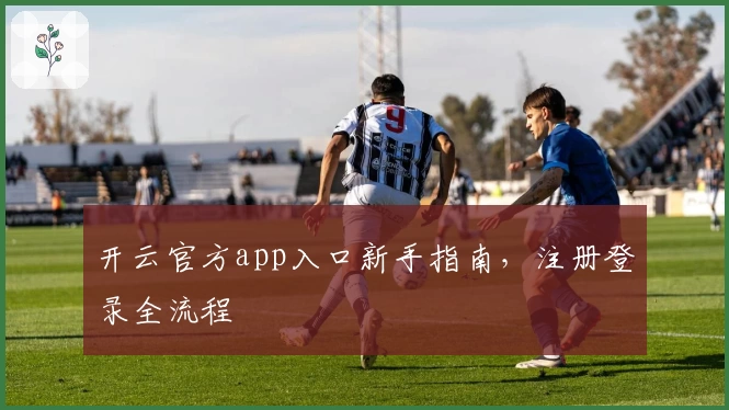 开云官方app入口新手指南，注册登录全流程