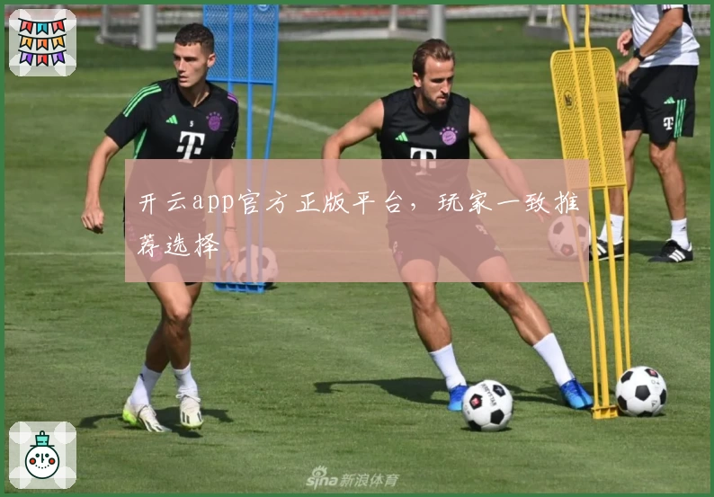 开云app官方正版平台,玩家一致推荐选择